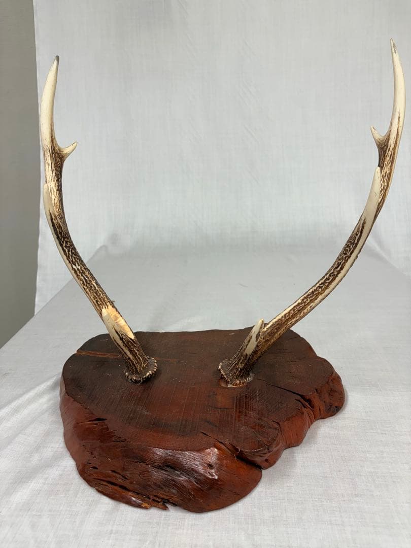 刀掛け 刀台 武具 刀置き インテリア 日本刀 古美術 骨董 アンティーク