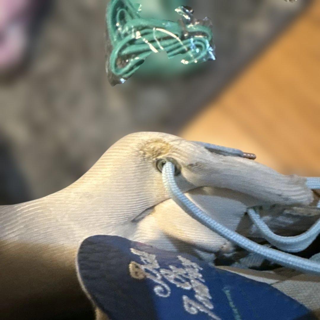 ASICS Ball on Journey バスケットシューズ