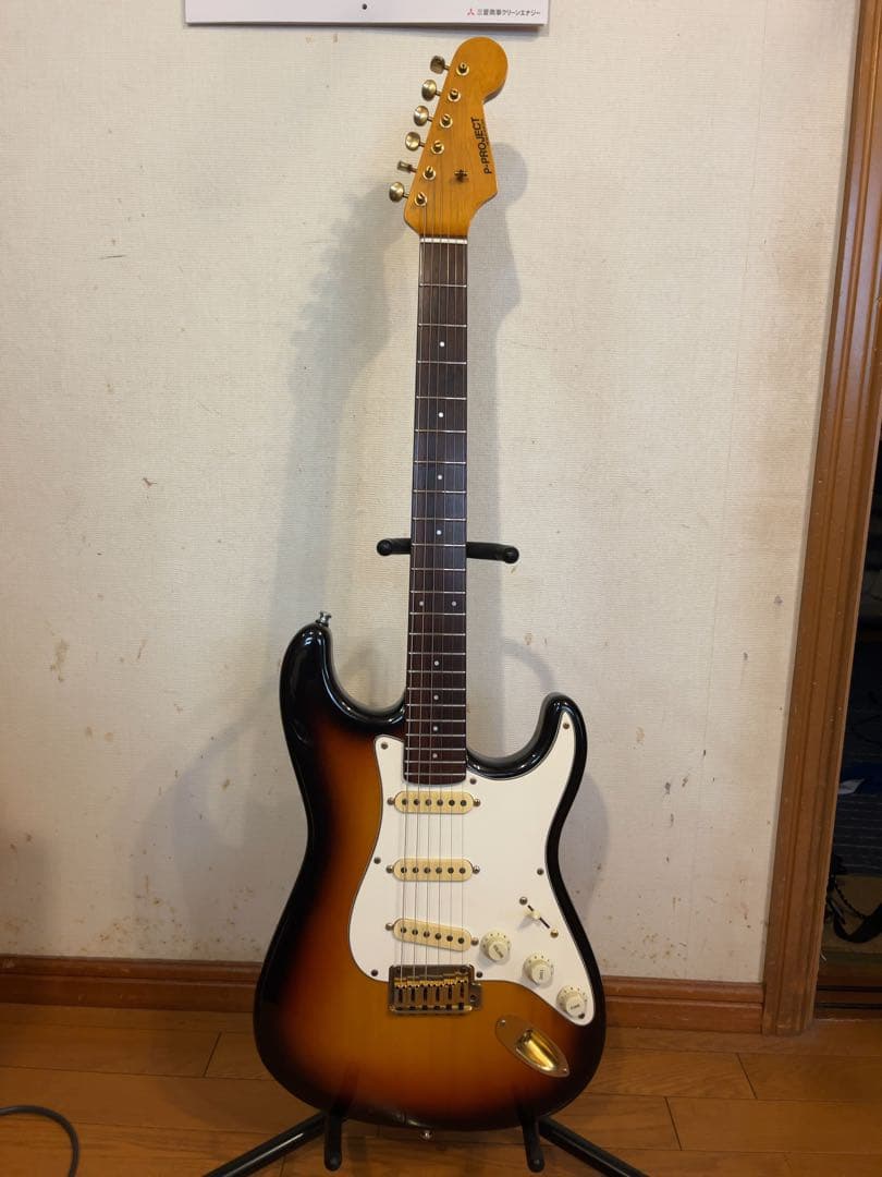 P-Project PST-1V ★VANZANDTピックアップ