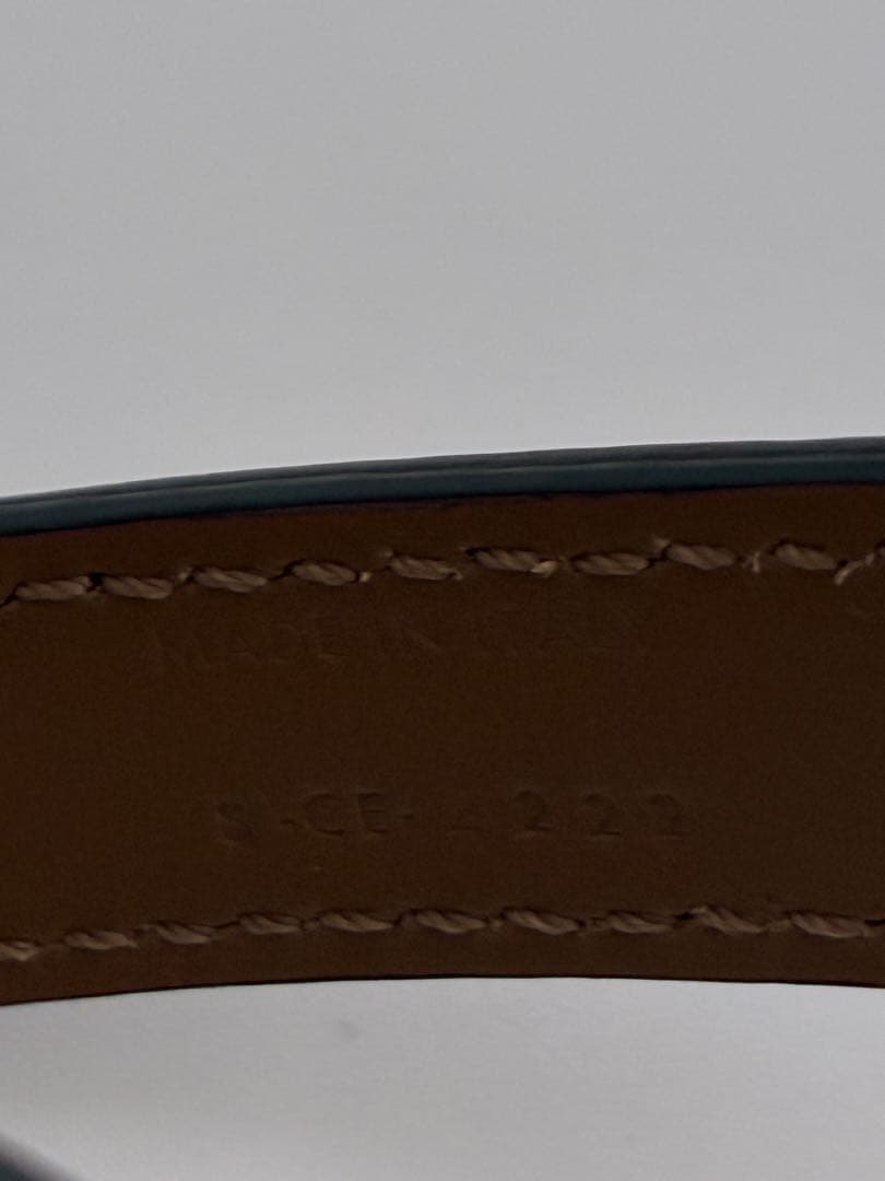 【極美品】セリーヌ　トリオンフ　首輪　リードトップセット　ドッグカラー　現行