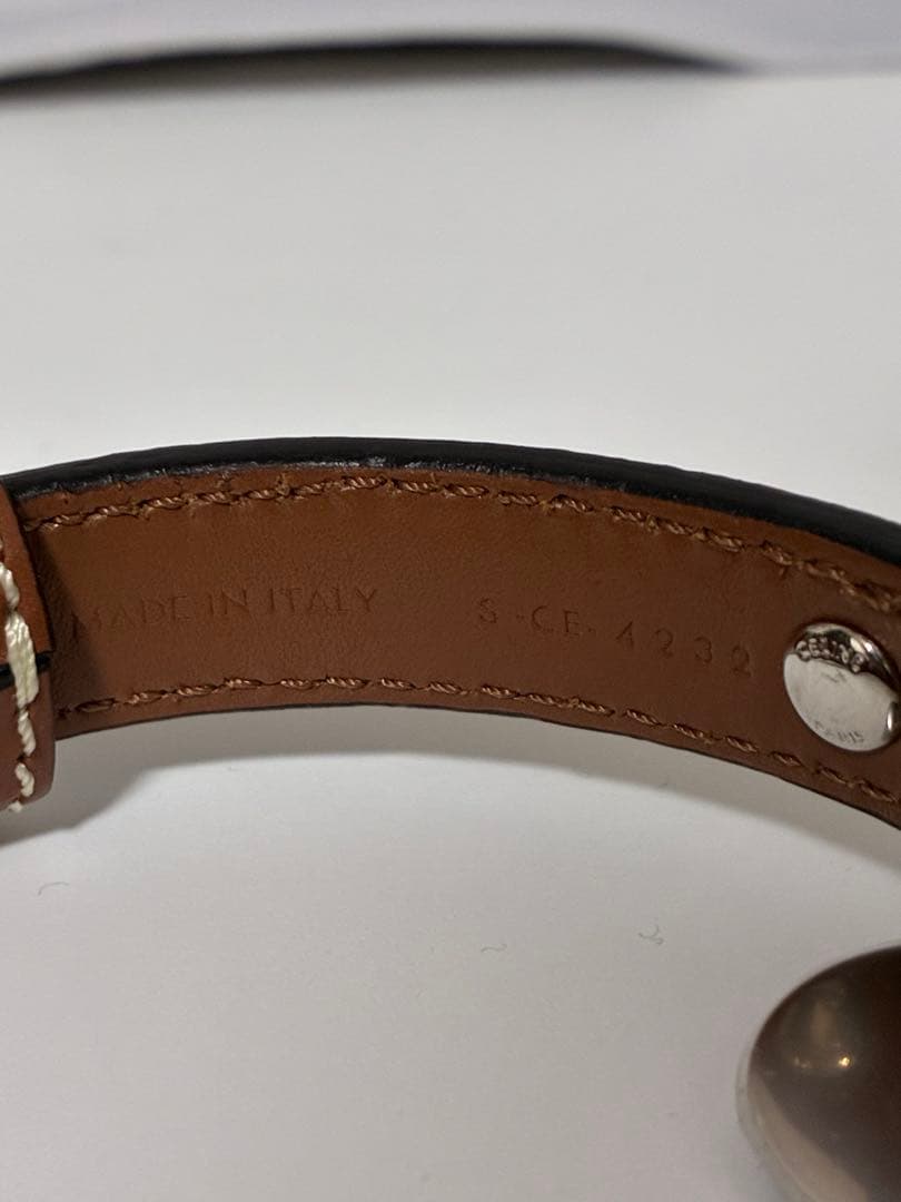 【極美品】セリーヌ　トリオンフ　首輪　リードトップセット　ドッグカラー　現行