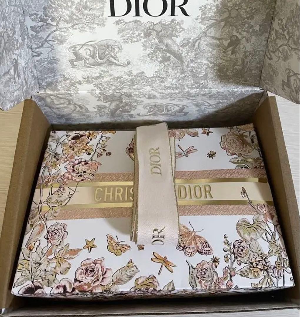 DIOR LE BAUME　ルボーム　限定品　ケース付