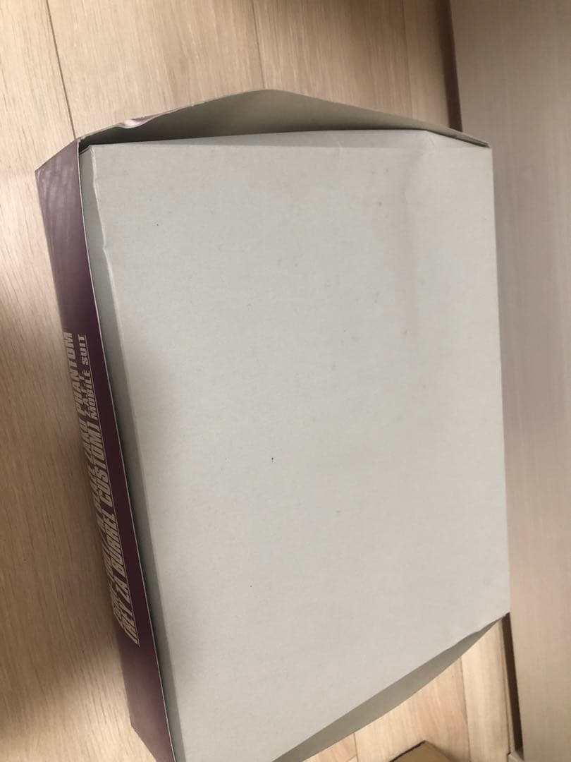 mg ブレイズザクファントム レイ・ザ・バレル専用機 ガンプラ 未組立