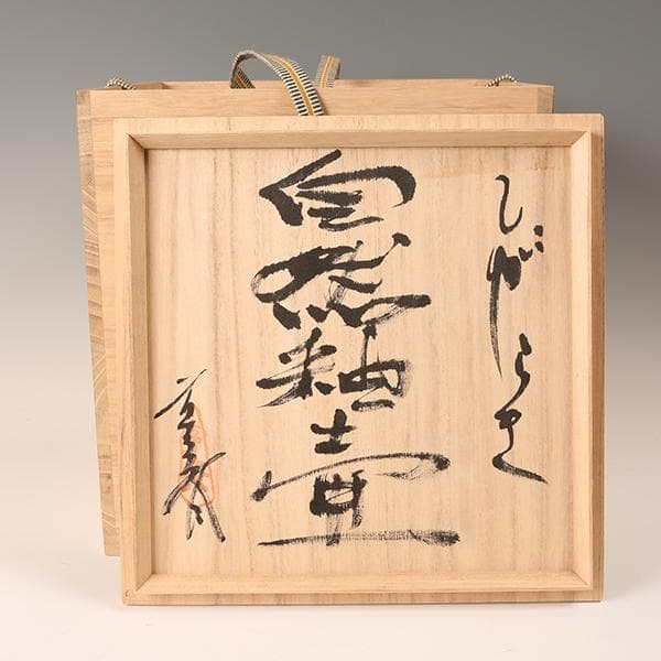 信楽焼【星野亨斉 造】◆自然紬壺◆ 【陶器・壺・花瓶・花入】