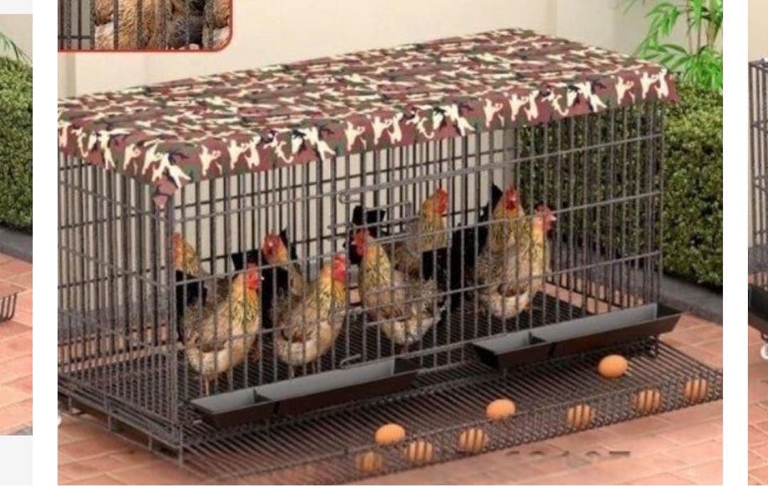 大きな鶏ケージ