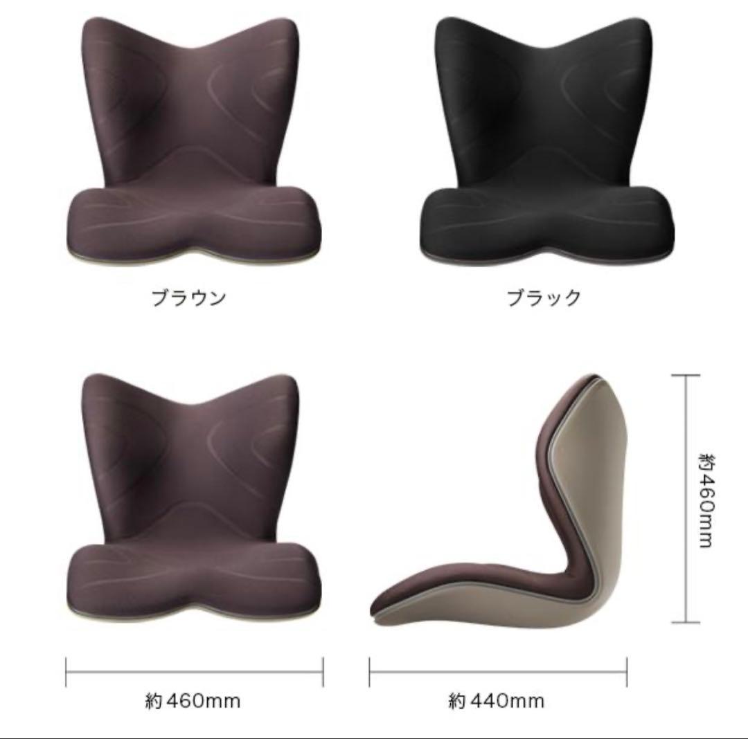 【新品】正規販売　スタイルプレミアム Style PREMIUM 骨盤クッション