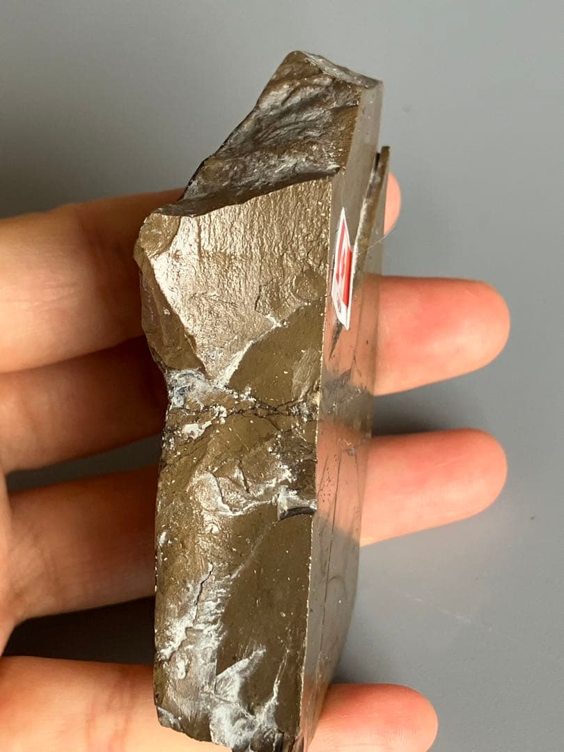 化石　原石　アンモライト　アンモナイト　幅7.7cm カナダ産　箱付き