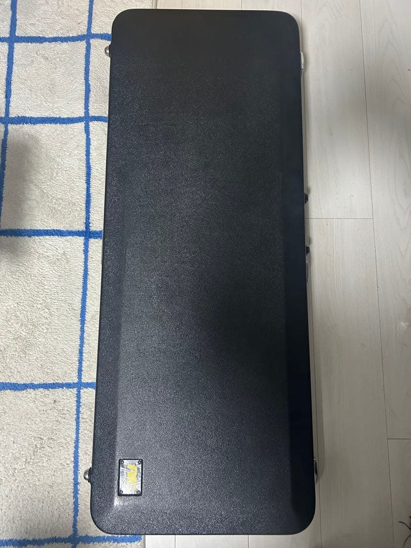 【はとぽぽ】リッケンバッカー330