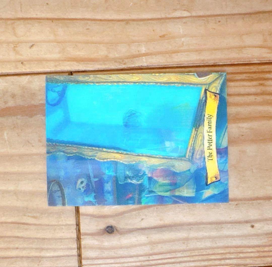 ハリーポッター　カエルチョコ　3DカードThe Potter Family