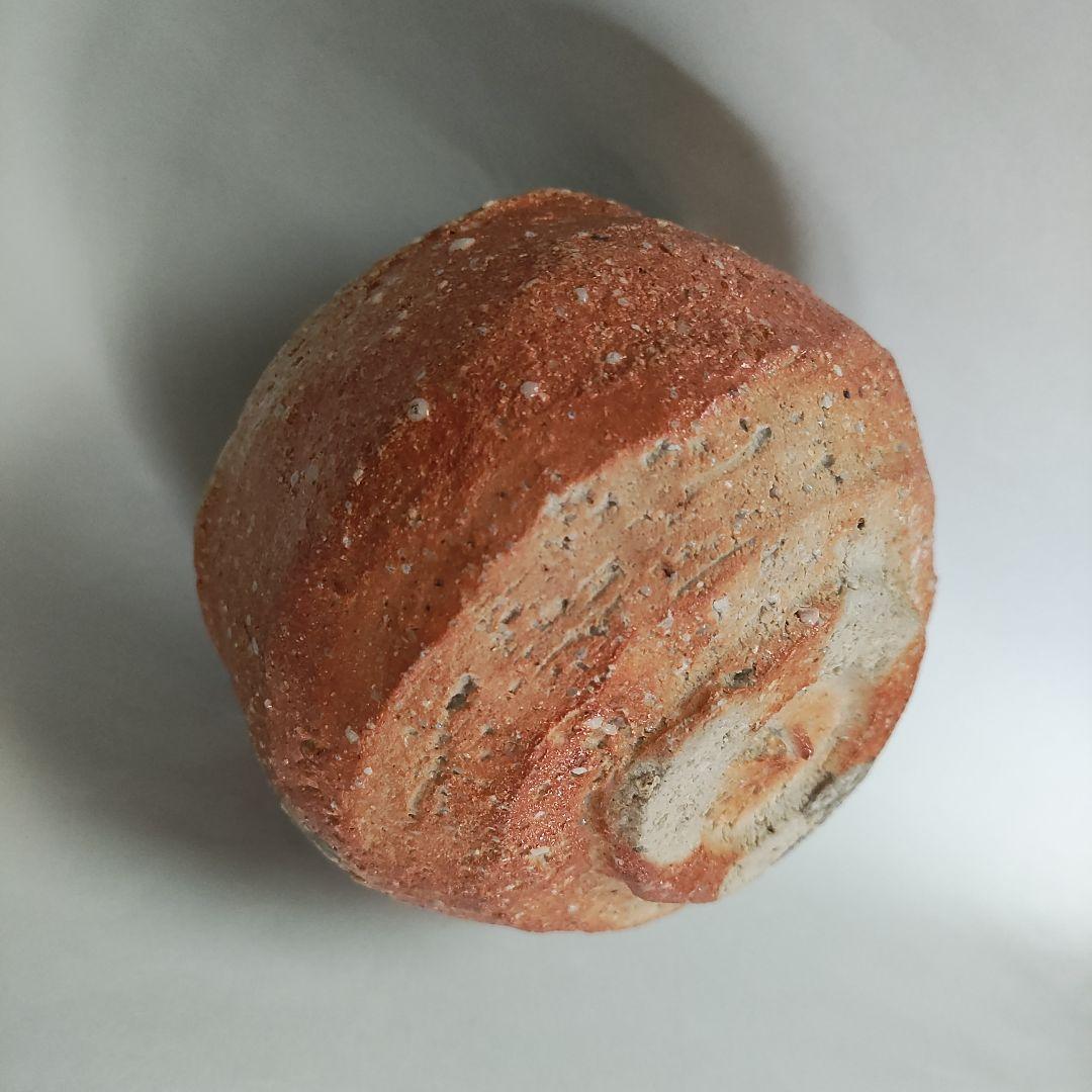 紫香庵水月(杉本貞光)　信楽茶碗