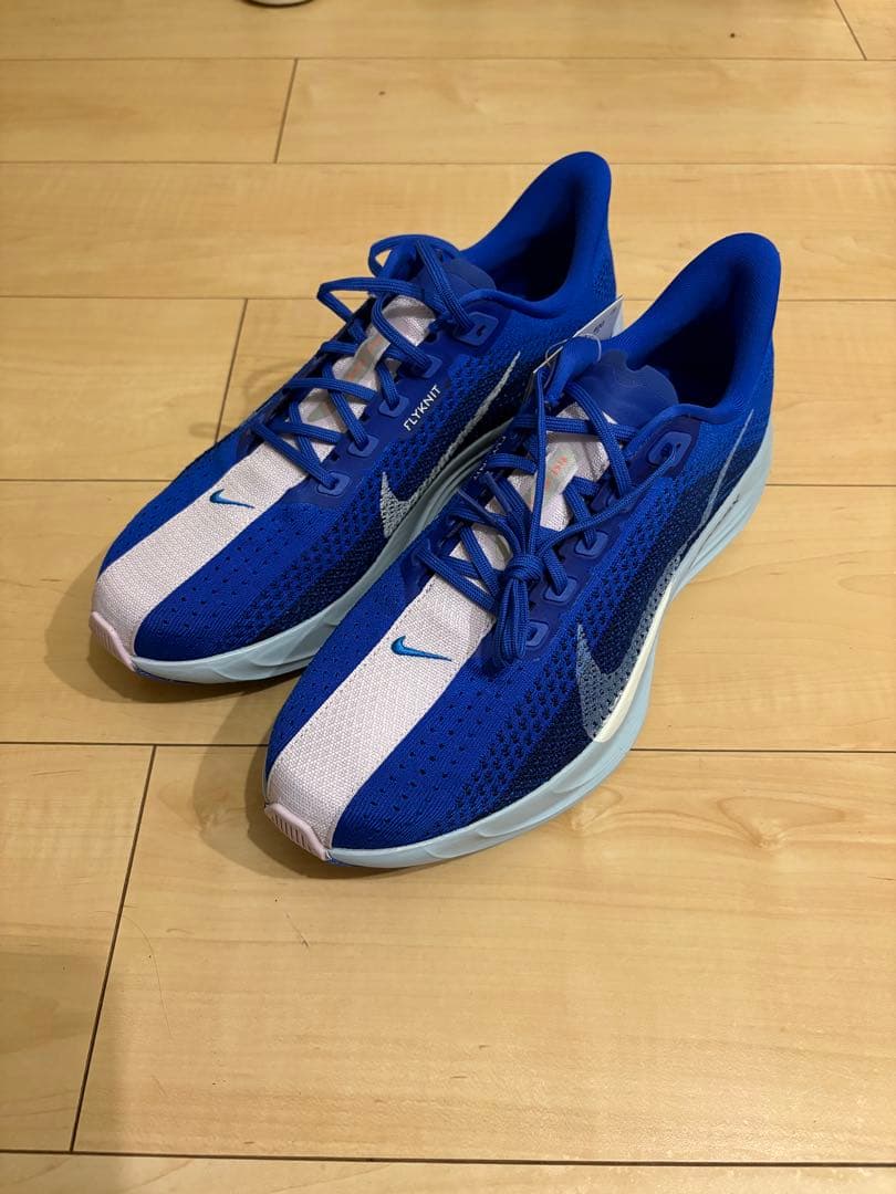 【新品未使用】NIKE ペガサスプラス 29.0cm 青
