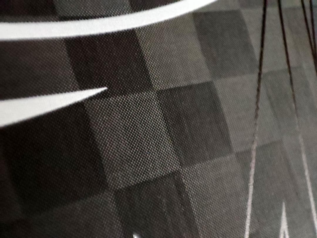 ピックルボール パドル 生カーボン Vanguard Pro Invikta